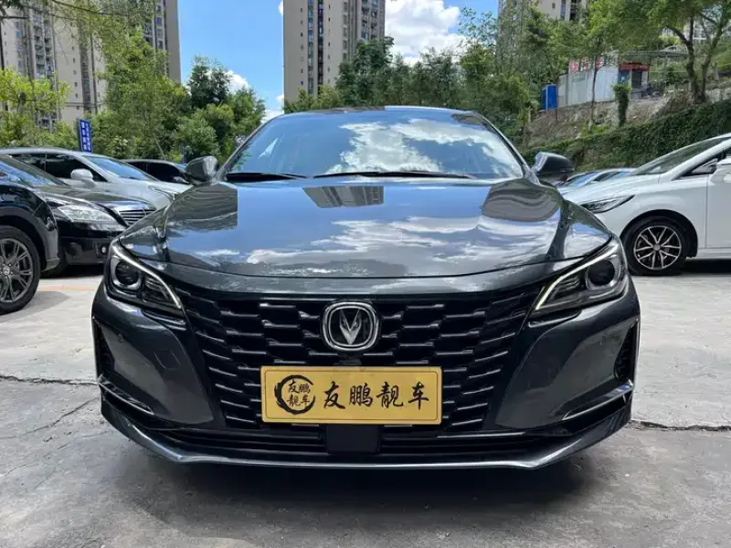 <h1>Changan Raeton CC</h1> в аренду фото № 2